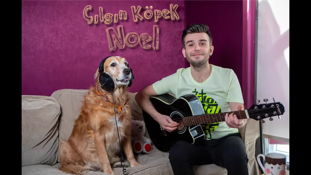 Ari Aliciyan feat. Noel - Çılgın Köpek Noel
